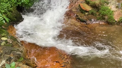 Waterfall in the forest. Stock Footage 219982044