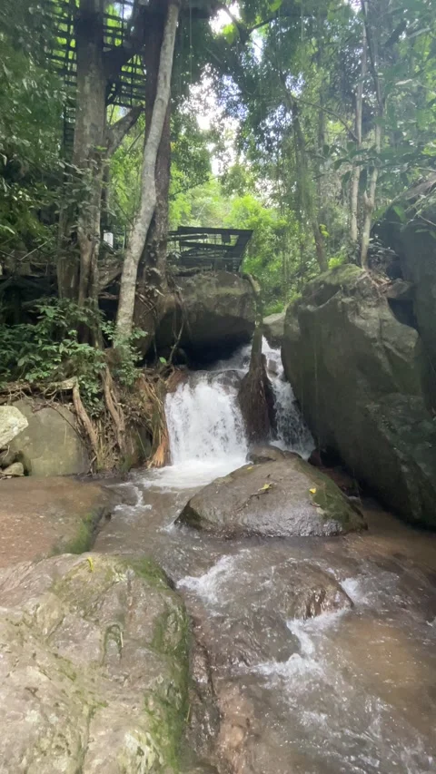 Waterfall in the forest. Stock Footage 219982047