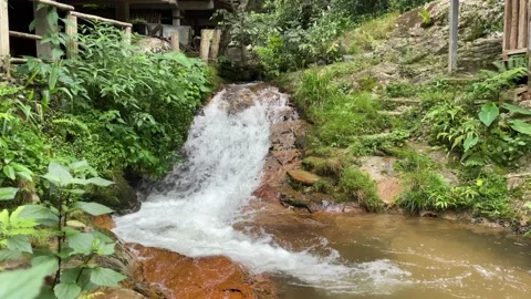 Waterfall in the forest. Stock Footage 219982060