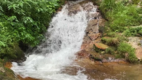 Waterfall in the forest. Stock Footage 219982066