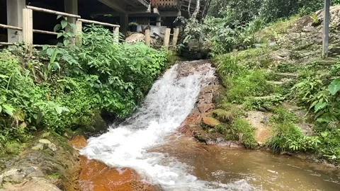 Waterfall in the forest. Stock Footage 219982068