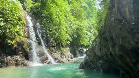 Waterfall in the forest Stock Footage 231467511
