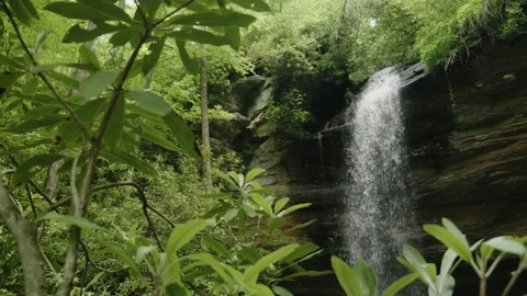 Waterfall in Forest Stock Footage 235210571