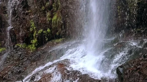 Waterfall in the forest Stock Footage 236535938