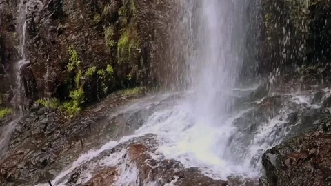 Waterfall in the forest Stock Footage 236536104
