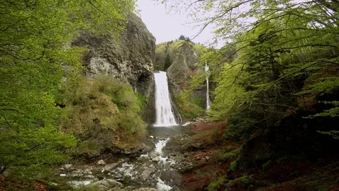 Waterfall in the forest Stock Footage 236945854