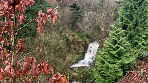 Waterfall in a forest. Stock-Footage 237953640