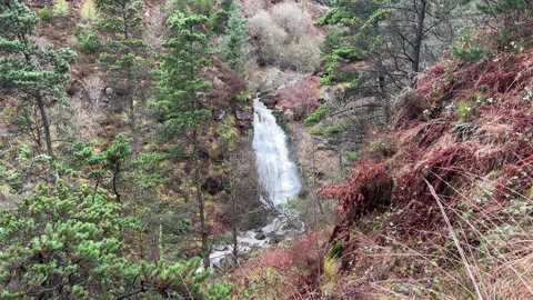 A waterfall in a forest Stock Footage 239653282