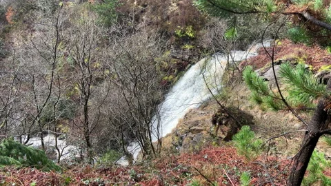A waterfall in a forest Stock Footage 239653325