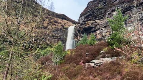 A waterfall in a forest Stock Footage 239653669