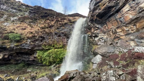 A waterfall in a forest Stock Footage 239653688