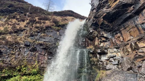 A waterfall in a forest Stock Footage 239653693