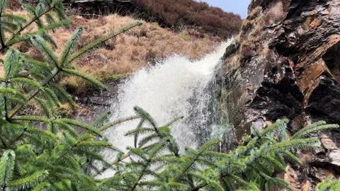 A waterfall in a forest 動画素材 239653700
