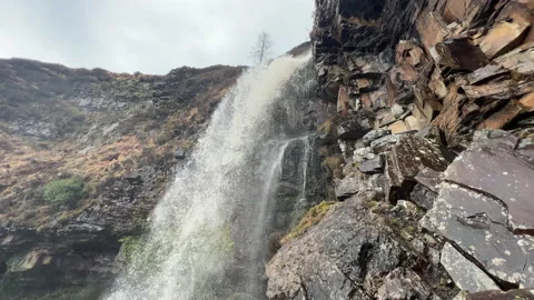 A waterfall in a forest Stock Footage 239653736