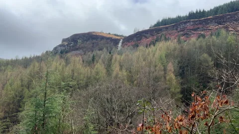 A waterfall in a forest Stock Footage 239653956