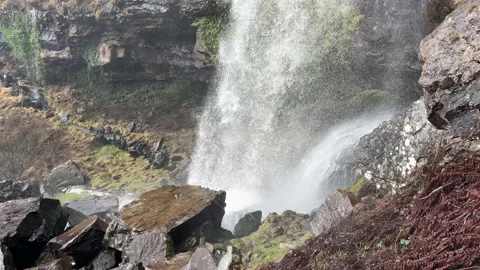 A waterfall in a forest Stock Footage 239654008