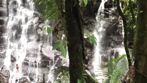 Waterfall in the forest Stock Footage 240846436
