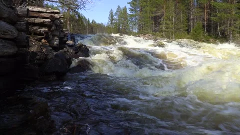 Waterfall in the forest 動画素材 241533192