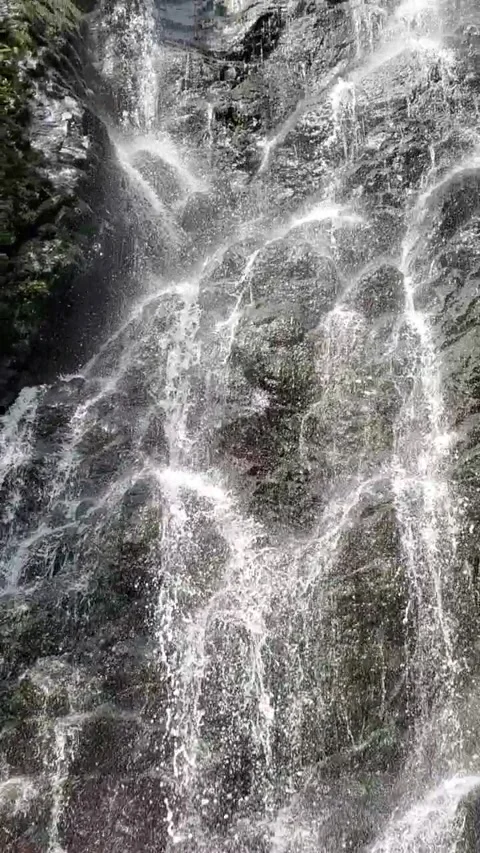 Waterfall in the forest Stock Footage 252137045