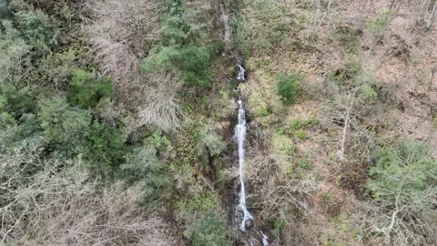 Waterfall forest Stock Footage 264022776