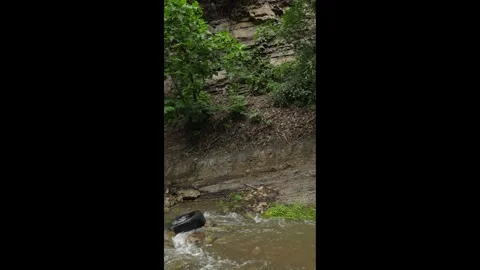 Waterfall in the forest Stock Footage 275510675