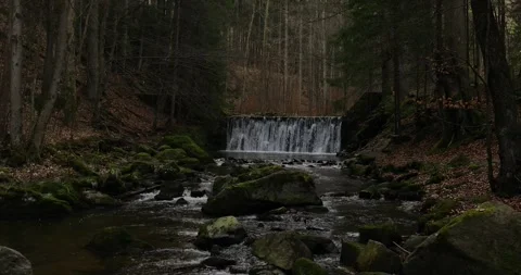 Waterfall in the forest Stock Footage 275842528