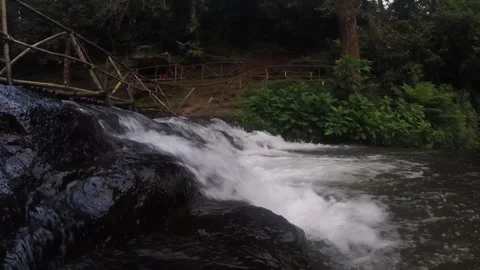 Waterfall in the forest Stock Footage 291184916