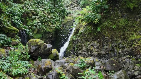 Waterfall in the forest Stock Footage 295453435