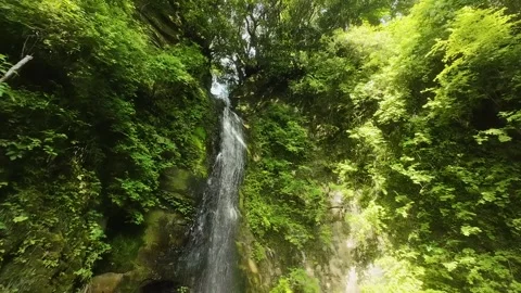 Waterfall in the forest Stock Footage 319907855