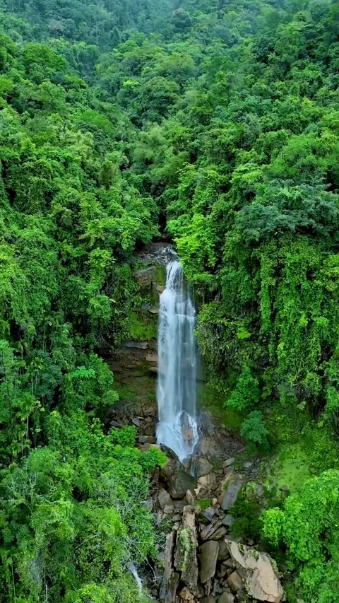 Waterfall in the forest Stock Footage 320594784