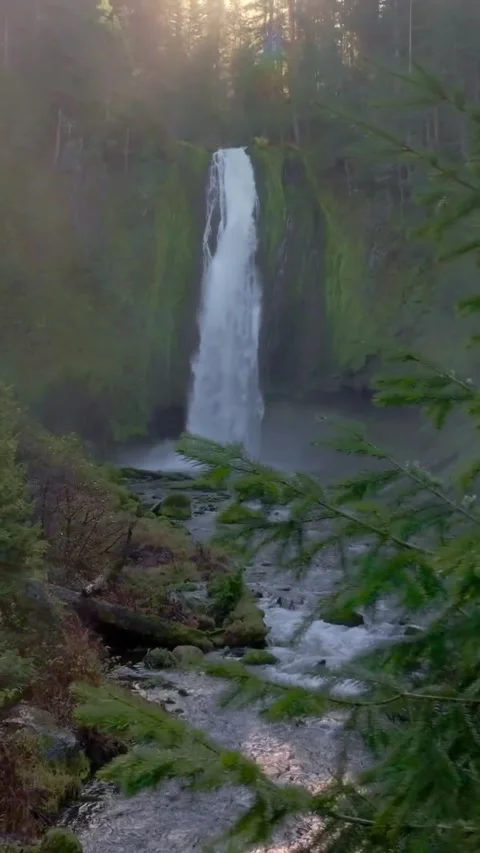 Waterfall in the forest Stock Footage 321194002