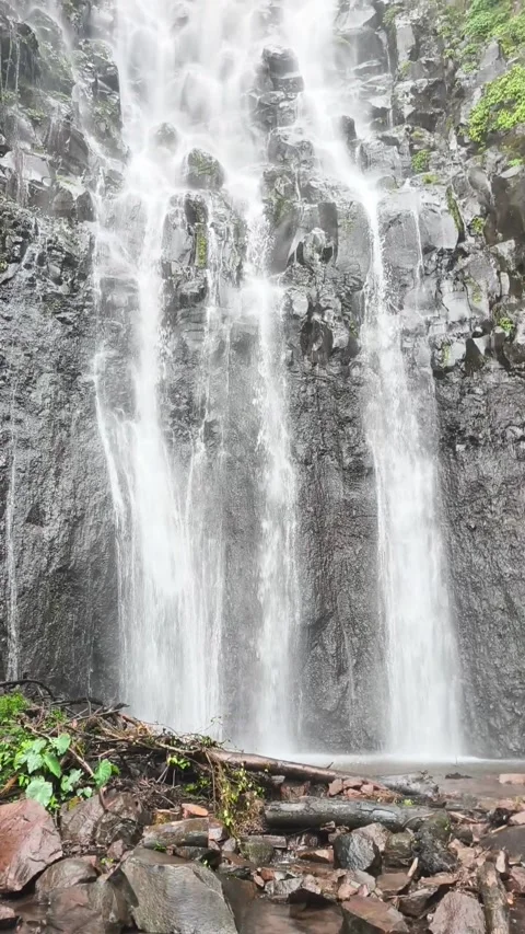 Waterfall in the forest 库存影片 333496877