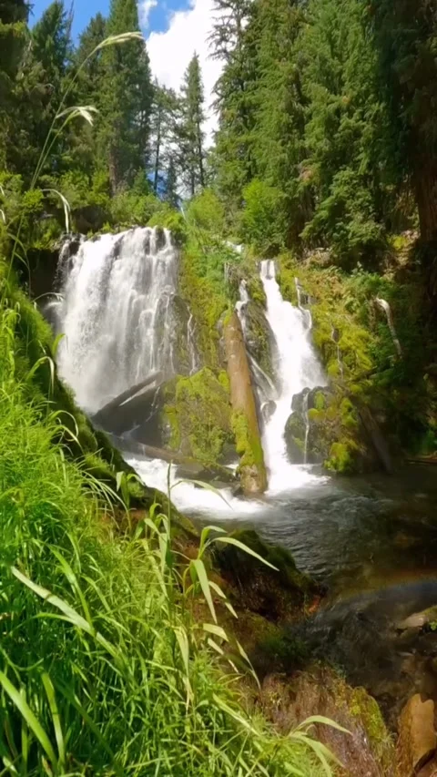 Waterfall in the forest with green mountains Stock Footage 274352453