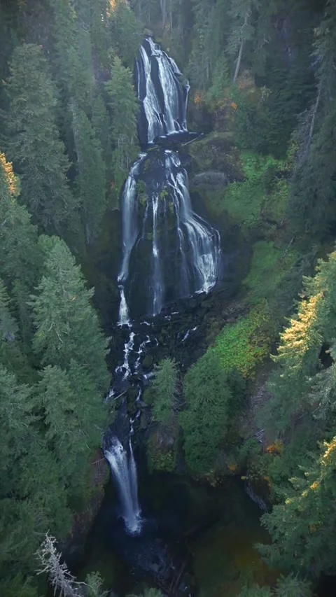 Waterfall in the forest with green plant's Stock Footage 274867354