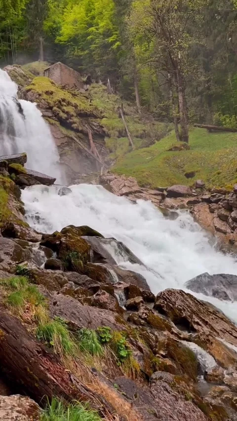 Waterfall in the forest with green trees Stock Footage 274691585