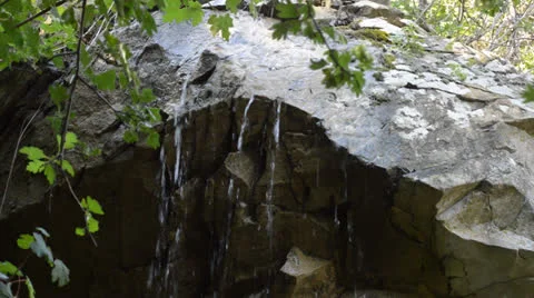 Waterfall in a forest grove Stock Footage 25798721