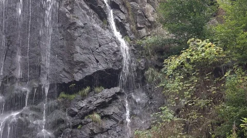 The waterfall in the forest ,Harz mountains Stock Footage 76952584