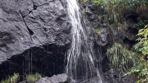 The waterfall in the forest ,Harz mountains 库存影片 76953000