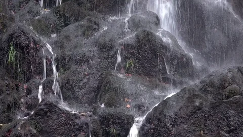 The waterfall in the forest ,Harz mountains Stock Footage 76953773