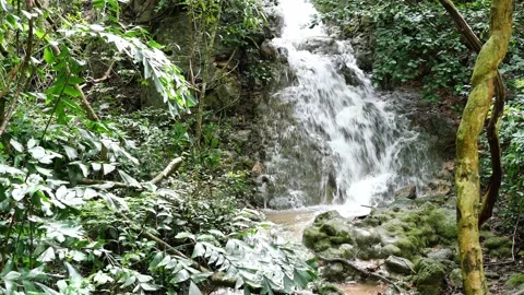 Waterfall in the forest at Khao Sam Roi Yot National Park Stock Footage 163258827