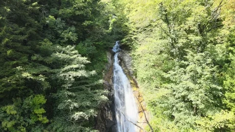 Waterfall forest landscape Stock Footage 240767633