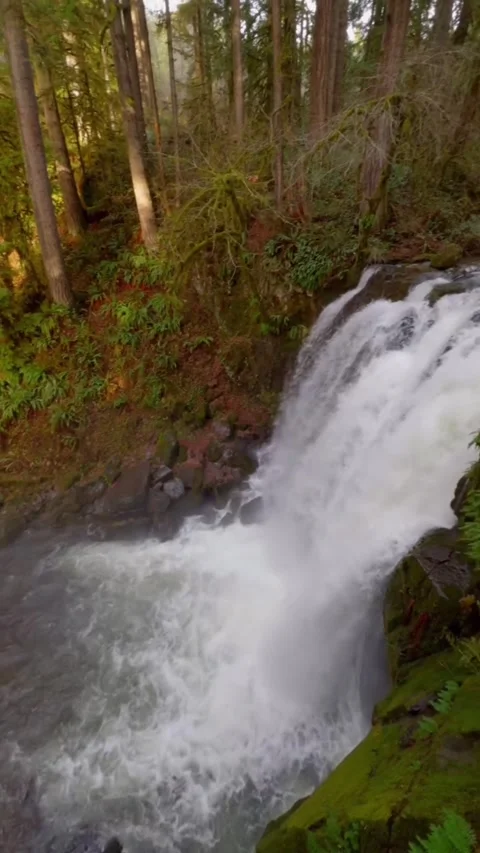 Waterfall in the forest looking beautiful Stock Footage 274044269