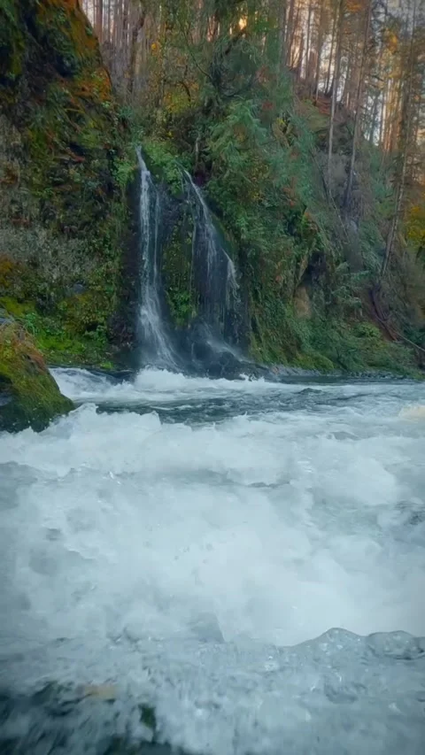 Waterfall in the forest looking beautiful Stock Footage 274354197