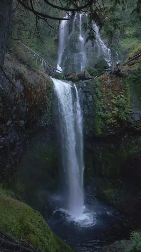 Waterfall in the forest looking beautiful Stock Footage 274867629