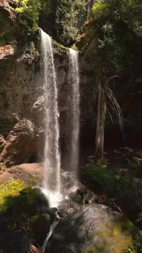Waterfall in the forest looking beautiful Stock Footage 274929127