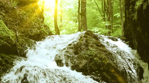 Waterfall in forest Loop Stock-Footage 38020450
