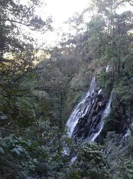 Waterfall in the forest, Mexico Stock Photos
