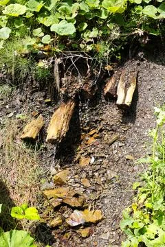 Waterfall in the forest. Mountain stream. Waterfall in the forest Stock Photos