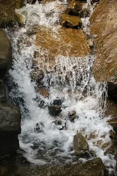 Waterfall in the forest. Mountain stream. Waterfall in the forest Stock Photos