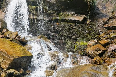 Waterfall in the forest. Mountain stream. Waterfall in the forest Stock Photos
